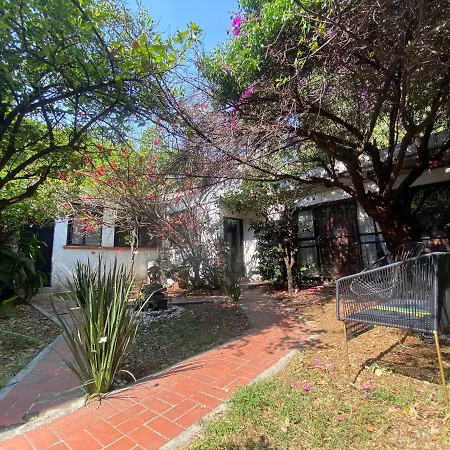 House With Big Garden Like An Oasis In The Heart Of Cdmx