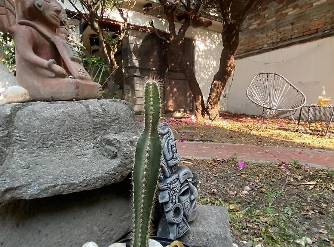 House With Big Garden Like An Oasis In The Heart Of Cdmx