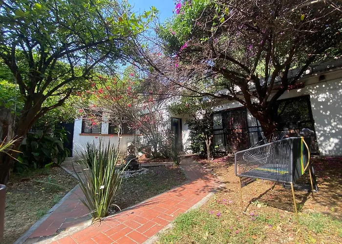 House With Big Garden Like An Oasis In The Heart Of Cdmx México DF