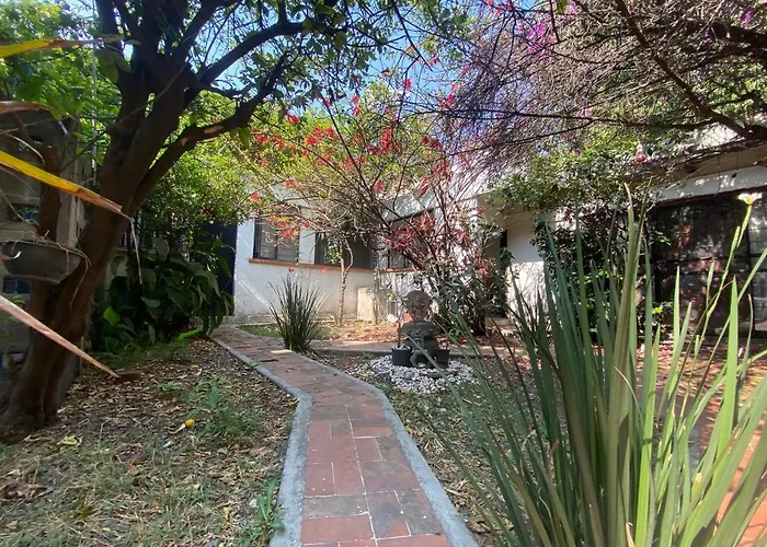Pensión House With Big Garden Like An Oasis In The Heart Of Cdmx México DF