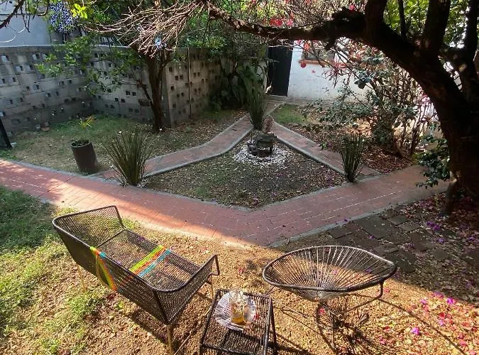 Pensión House With Big Garden Like An Oasis In The Heart Of Cdmx México DF