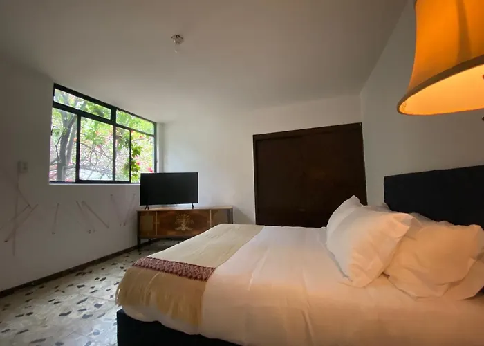 House With Big Garden Like An Oasis In The Heart Of Cdmx Pensión