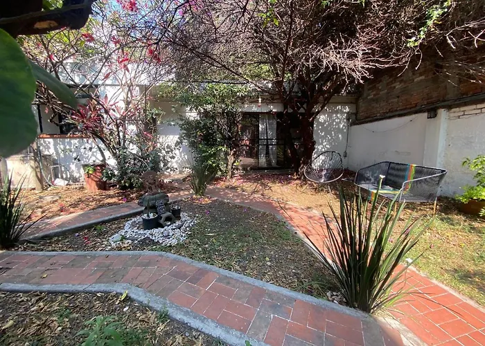 Pensión House With Big Garden Like An Oasis In The Heart Of Cdmx *