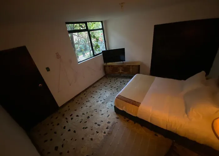 Pensión House With Big Garden Like An Oasis In The Heart Of Cdmx México DF