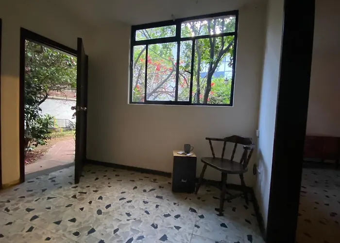 House With Big Garden Like An Oasis In The Heart Of Cdmx México DF
