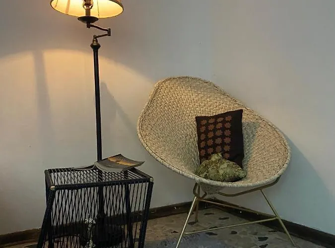 House With Big Garden Like An Oasis In The Heart Of Cdmx México DF